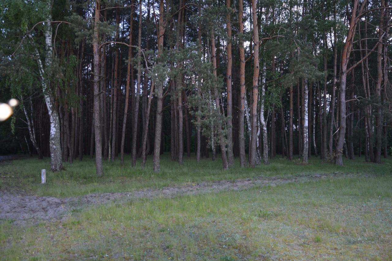 Pulemchanka Pulemets Esterno foto
